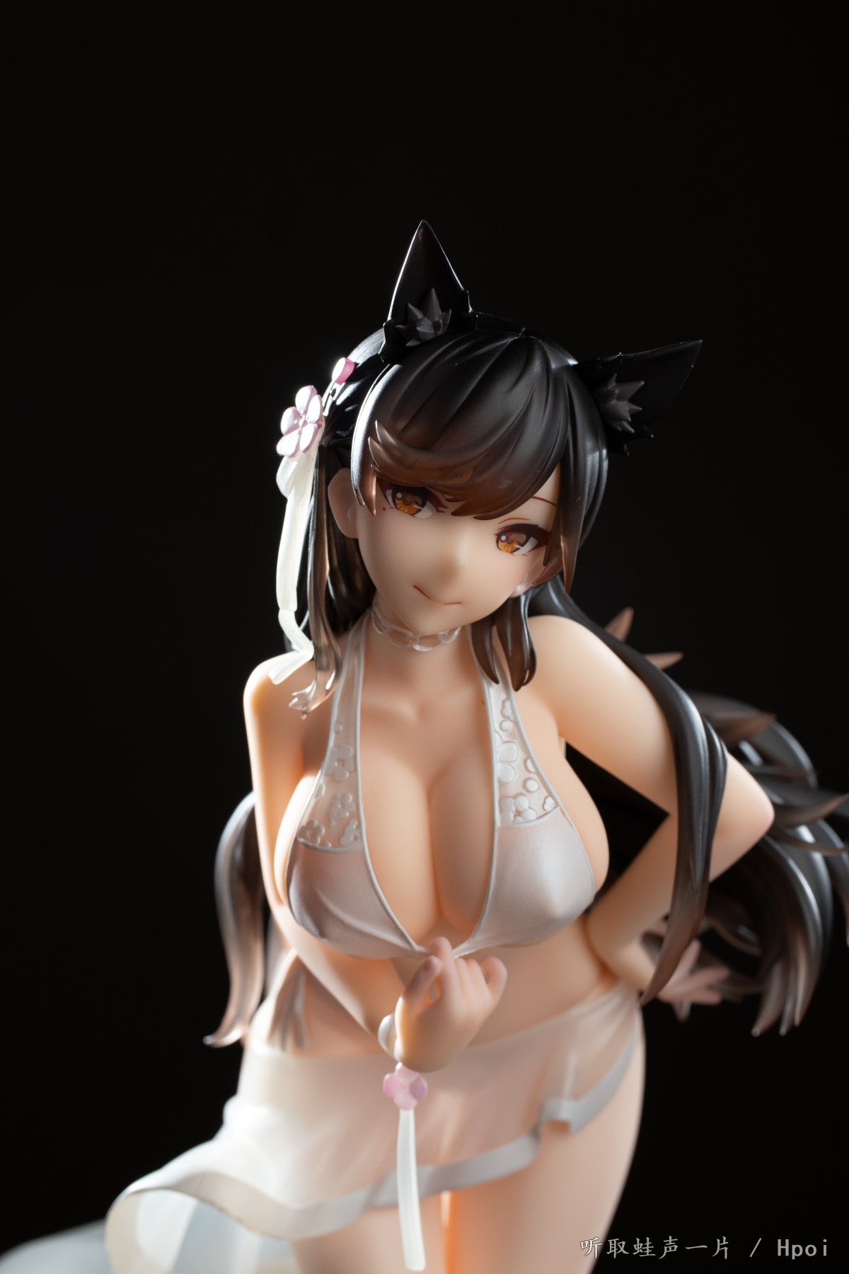 【咸蛙入手】爱宕