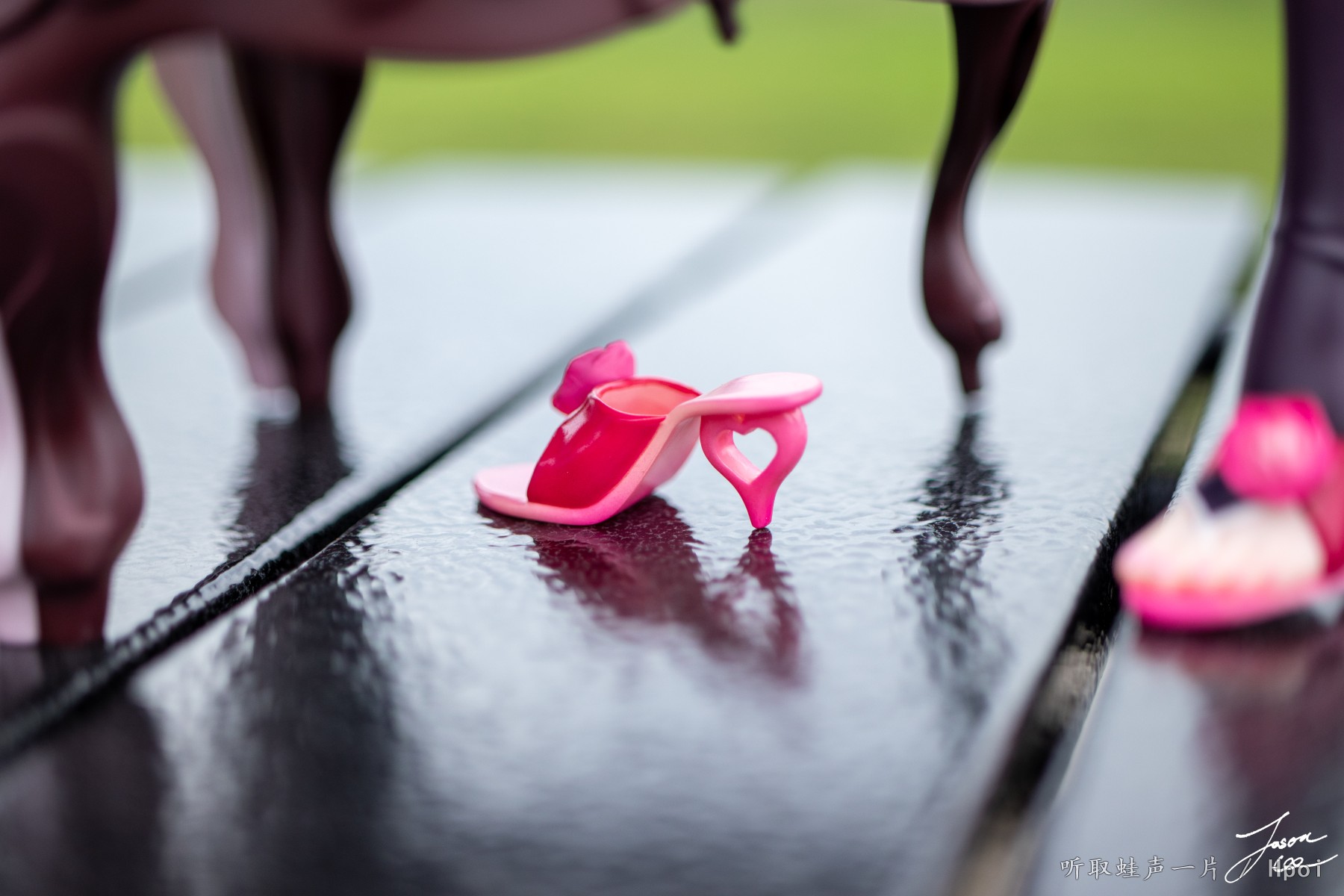 【咸蛙外摄】一年半的等待