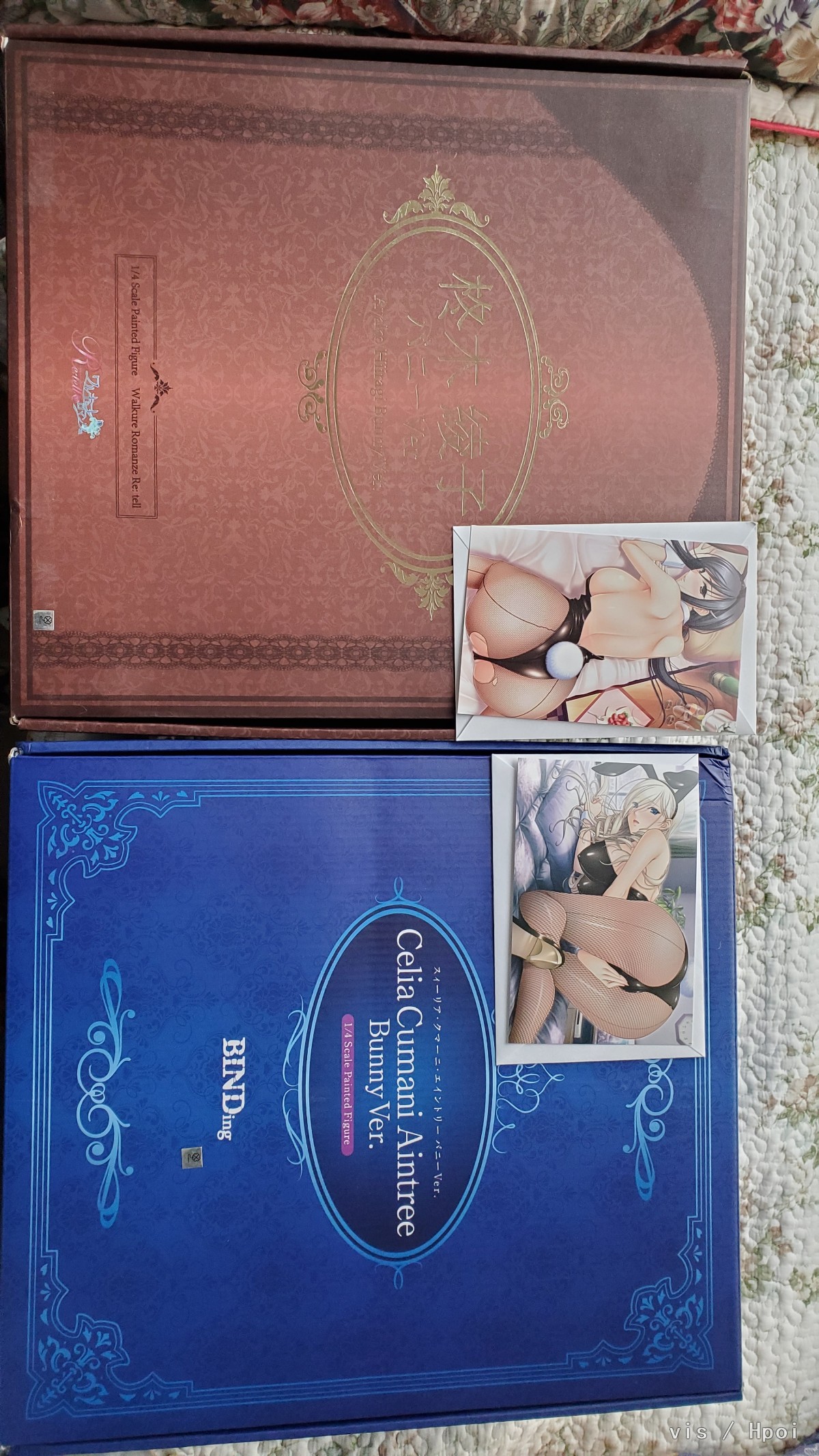 Bidding 少骑开箱