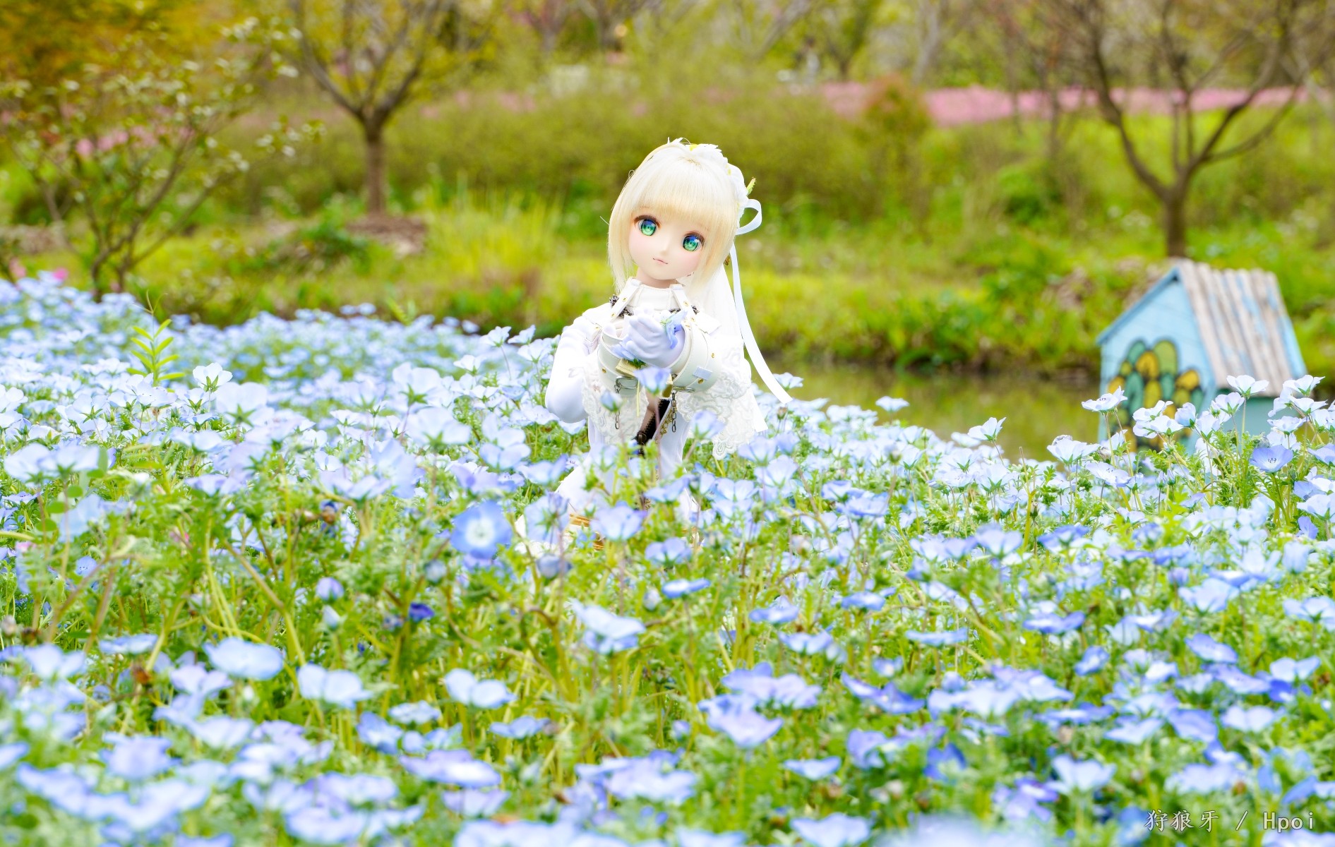 ドルフィードリーム合集 BY シュロウガ