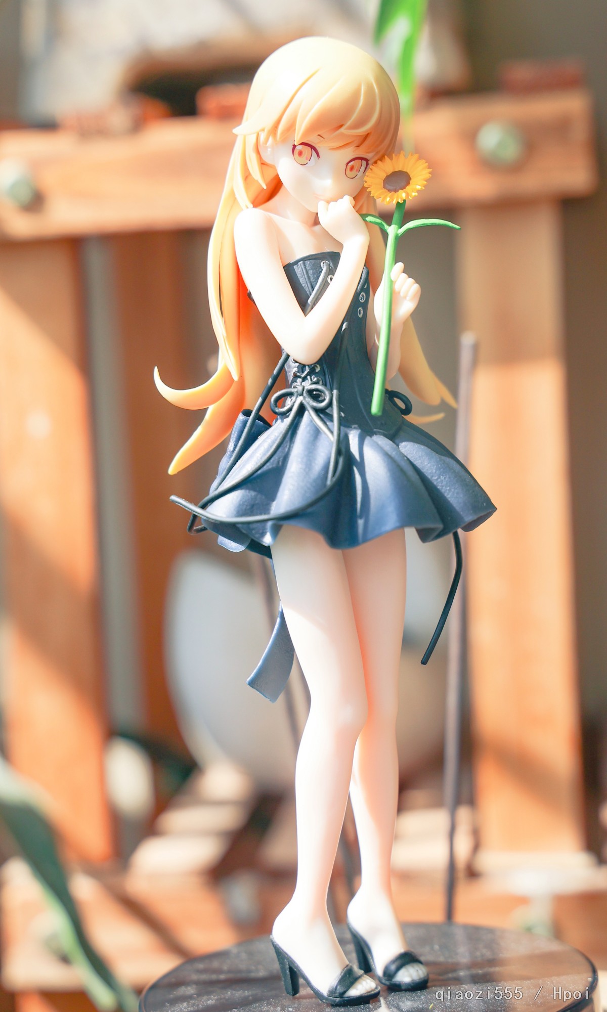 好天气拍的小忍