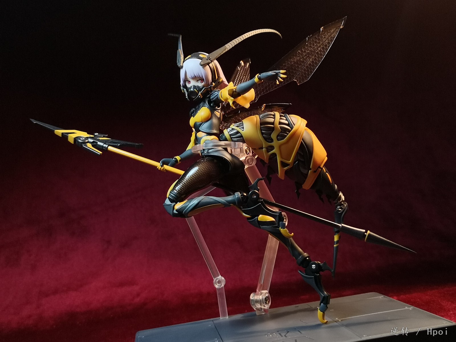 蜗之壳，黄蜂娘 嗡酱