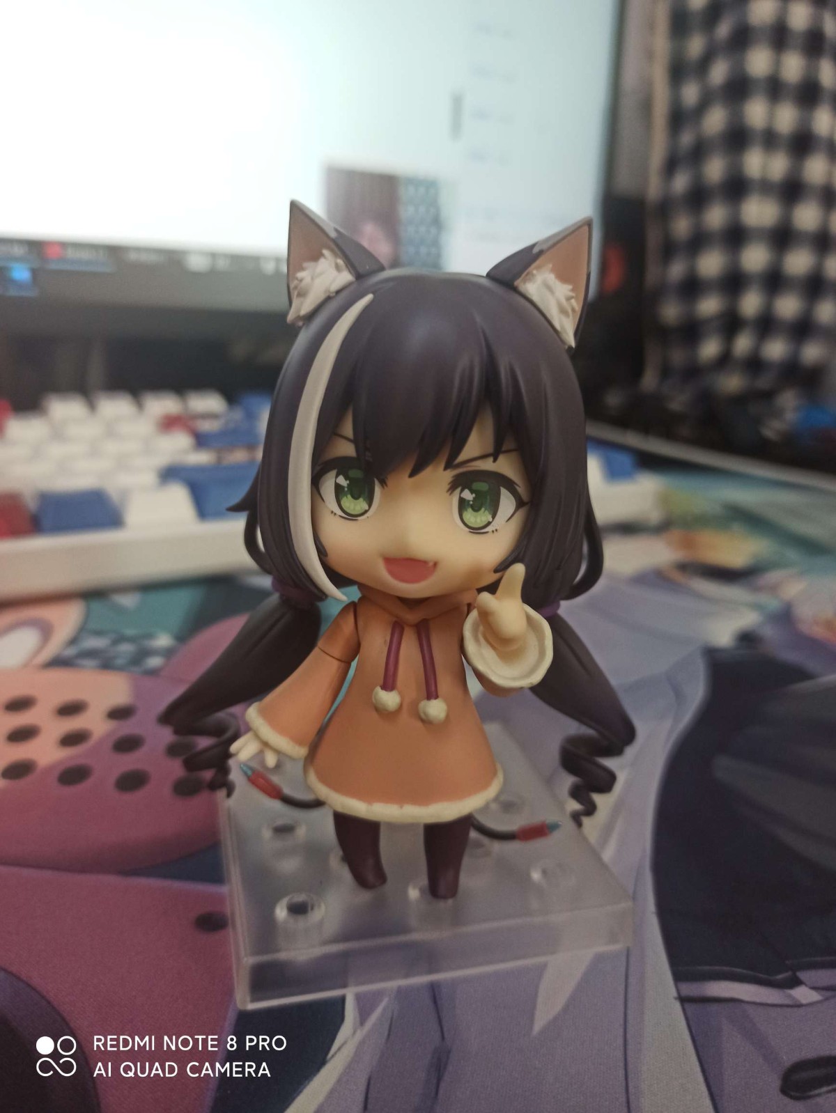 猫猫今天也在为寻找新的身体而苦恼