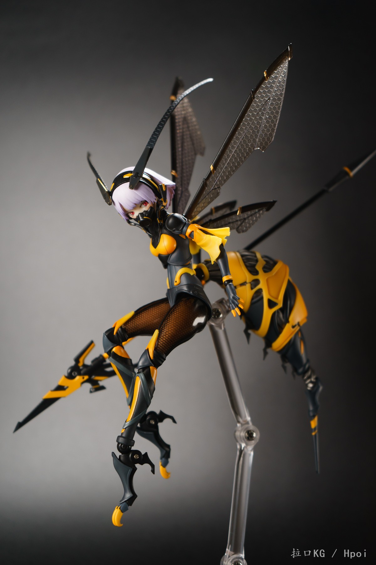 【KG】蜗之壳 黄蜂娘 嗡酱