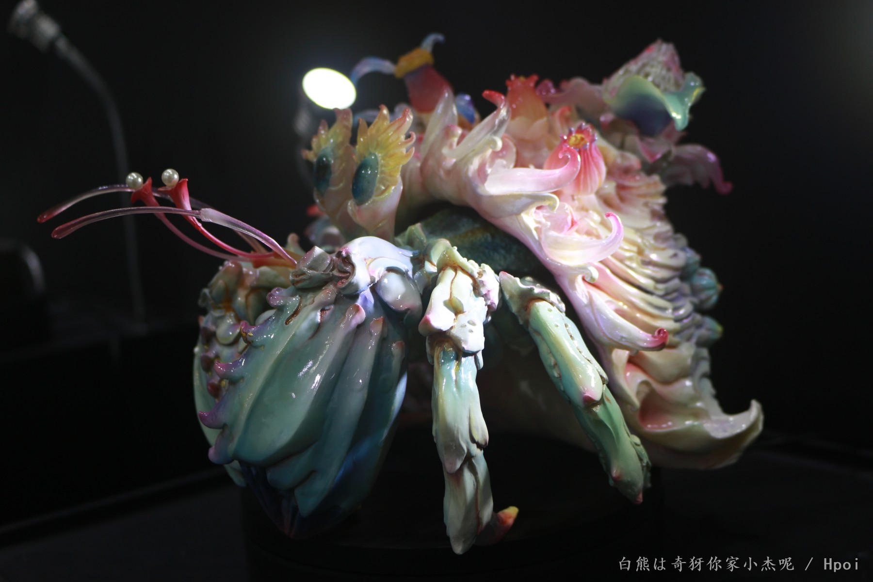 wf除了E7的其他馆（2） E7在另外一个相册