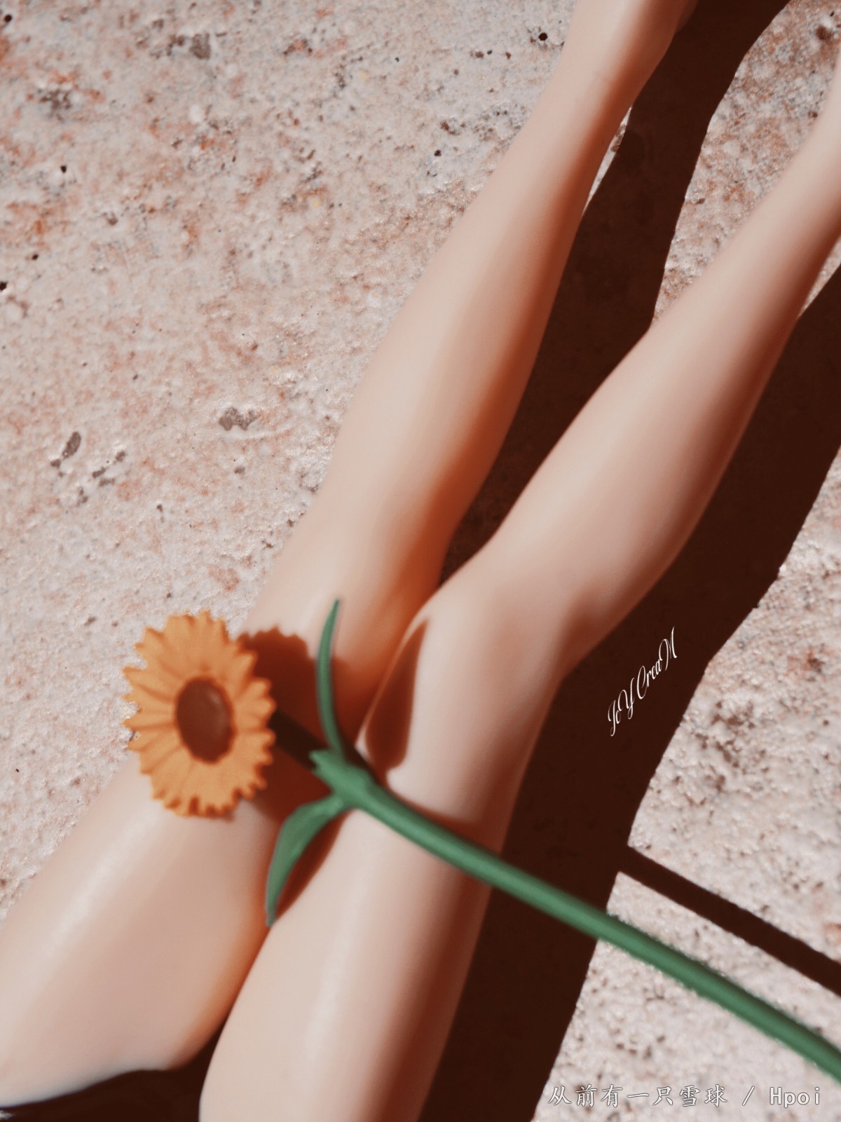 ひまわりの約束🌻