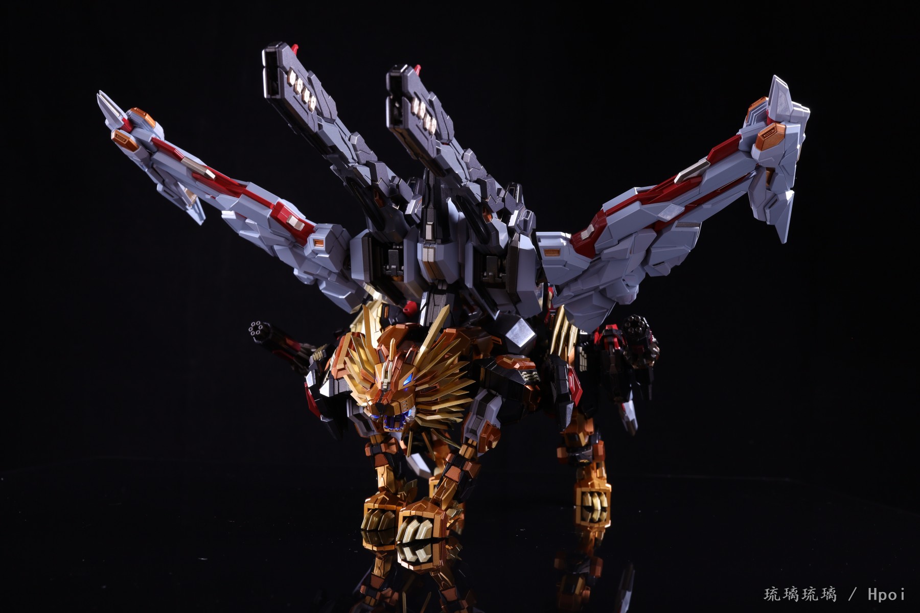 我们的胜利狮王