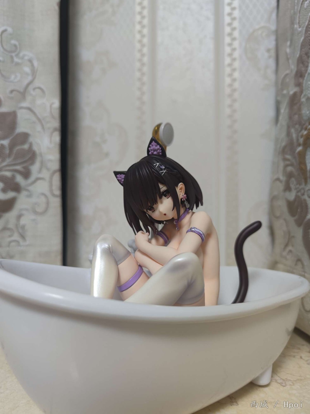 谁还不是一只椅子猫~喵