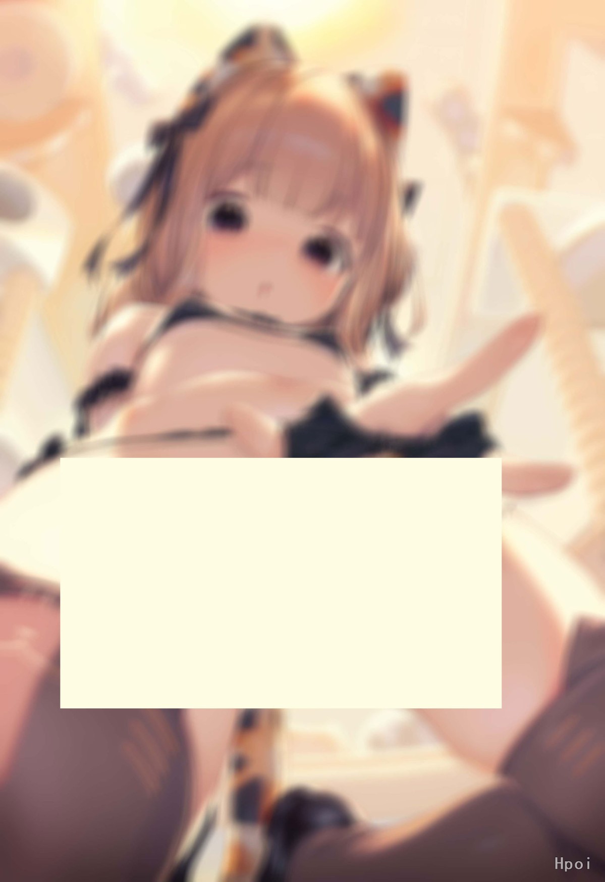 猫咖啡 ♡ 内裤