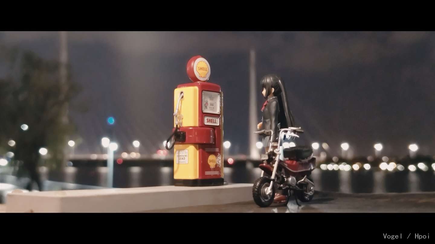 带着梓喵出去走走