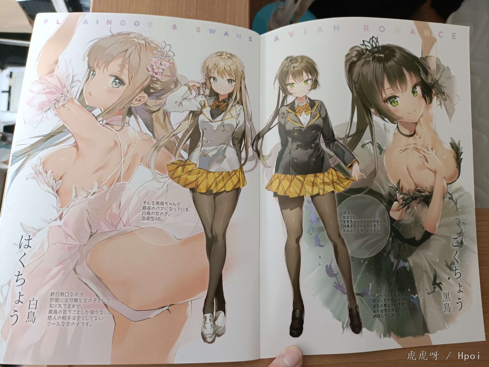 swans白天鹅少女