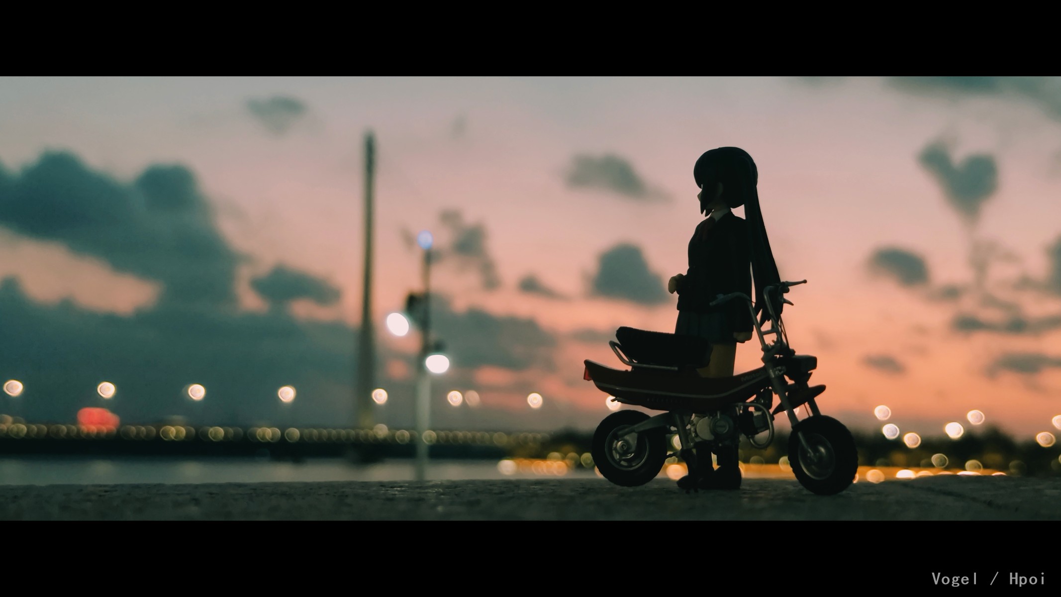 带着梓喵出去走走