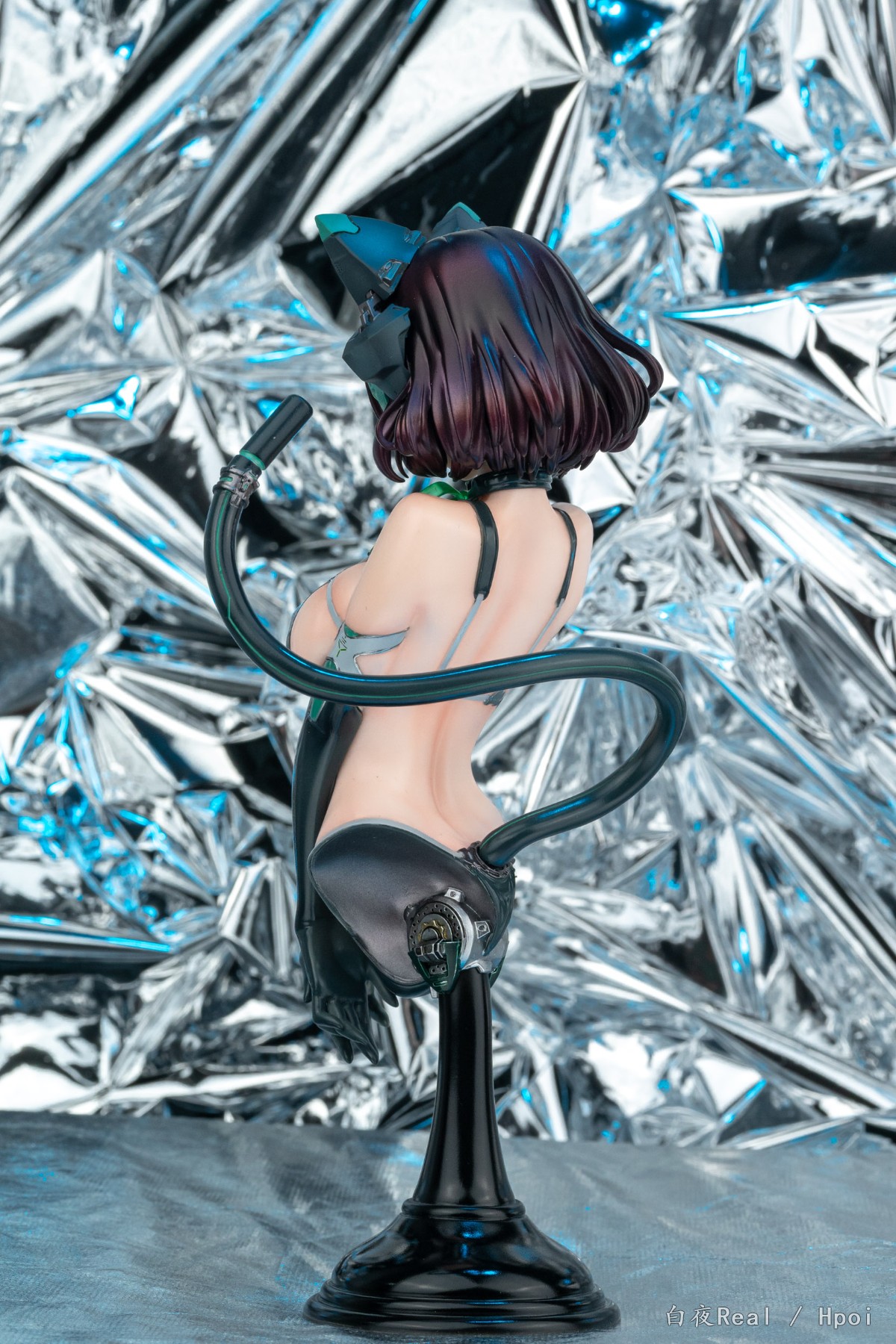 猫娘半身像KITTEN