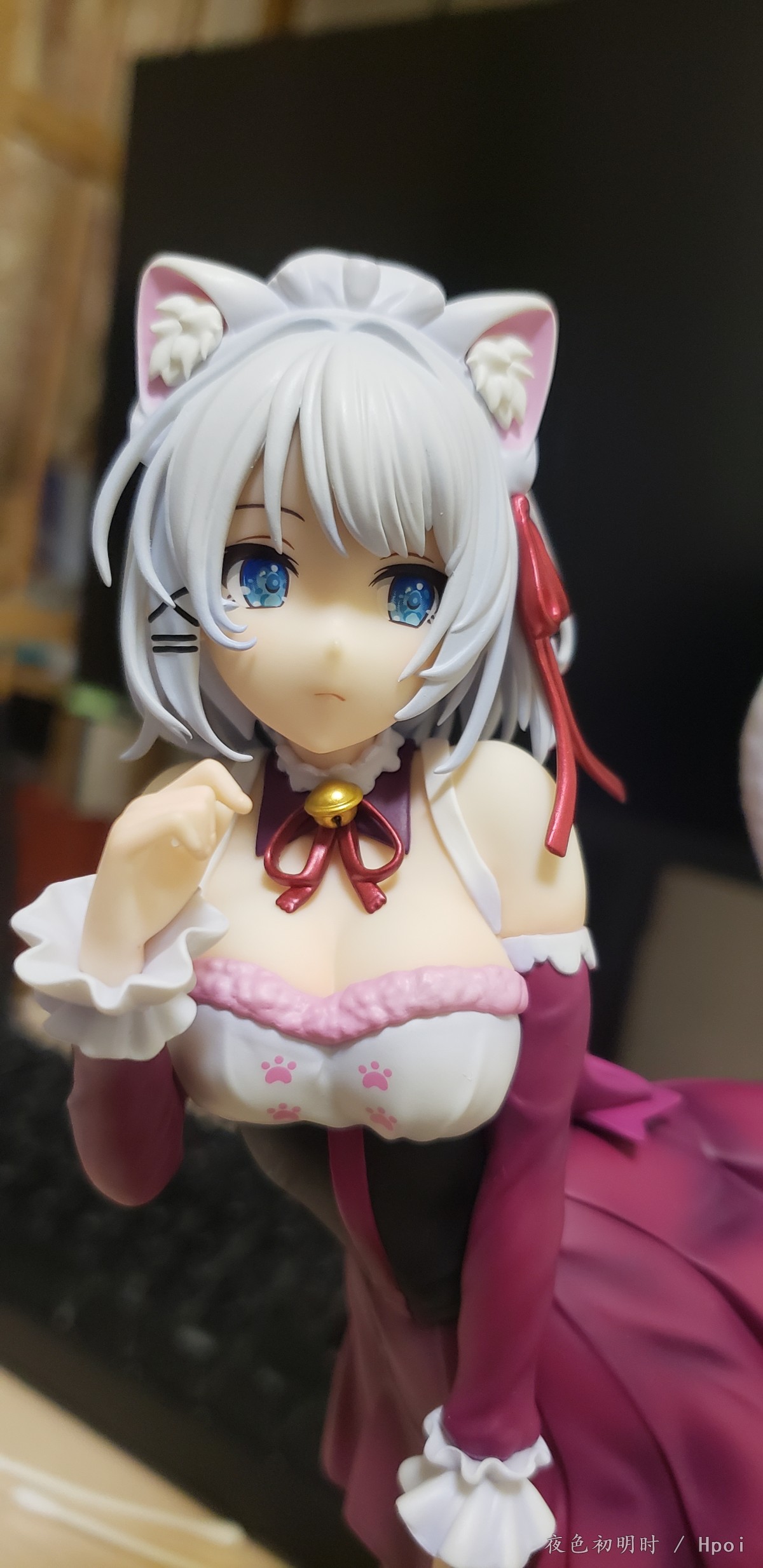 角川—猫耳谢丝塔开箱记录