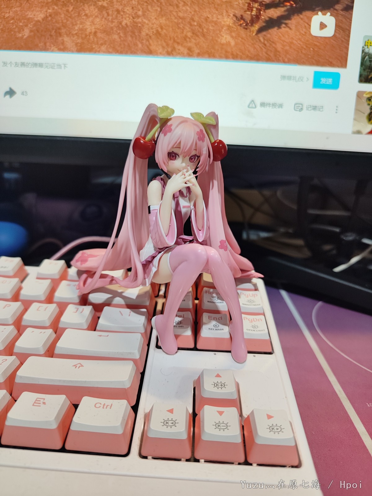 这次妇幼的樱初音真可爱啊，除了坐不住以外挑不出别的毛病，腿太短重心问题只能坐在斜面上