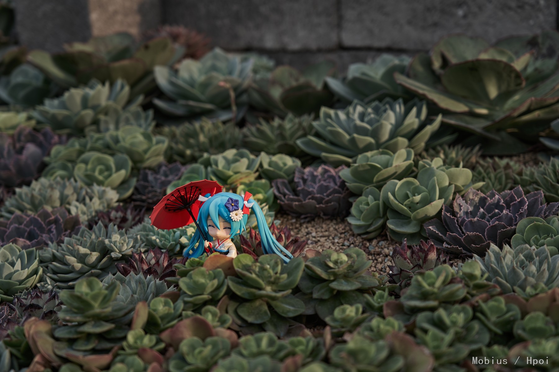 第一次带手办外拍，还是团建活动。