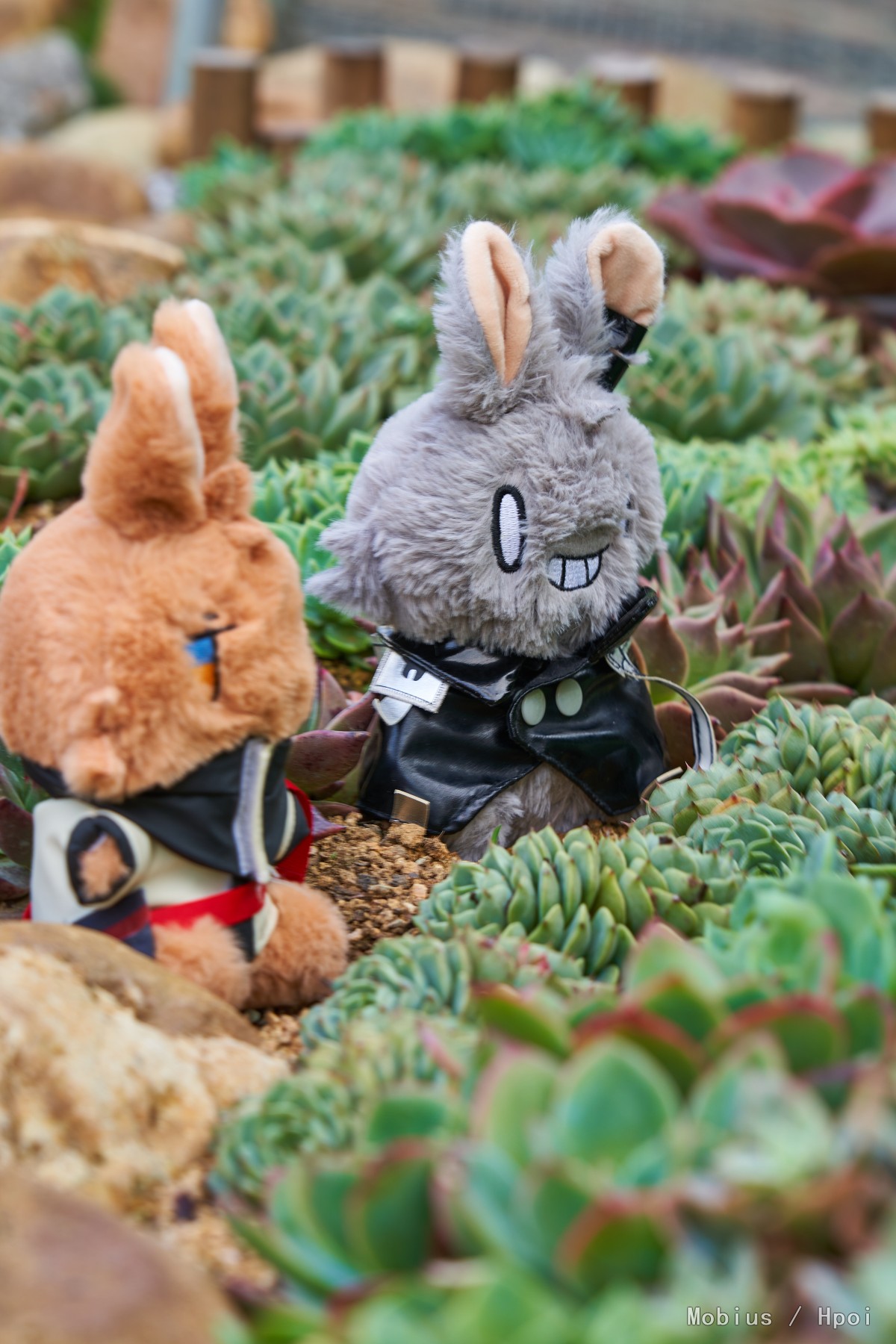 第一次带手办外拍，还是团建活动。