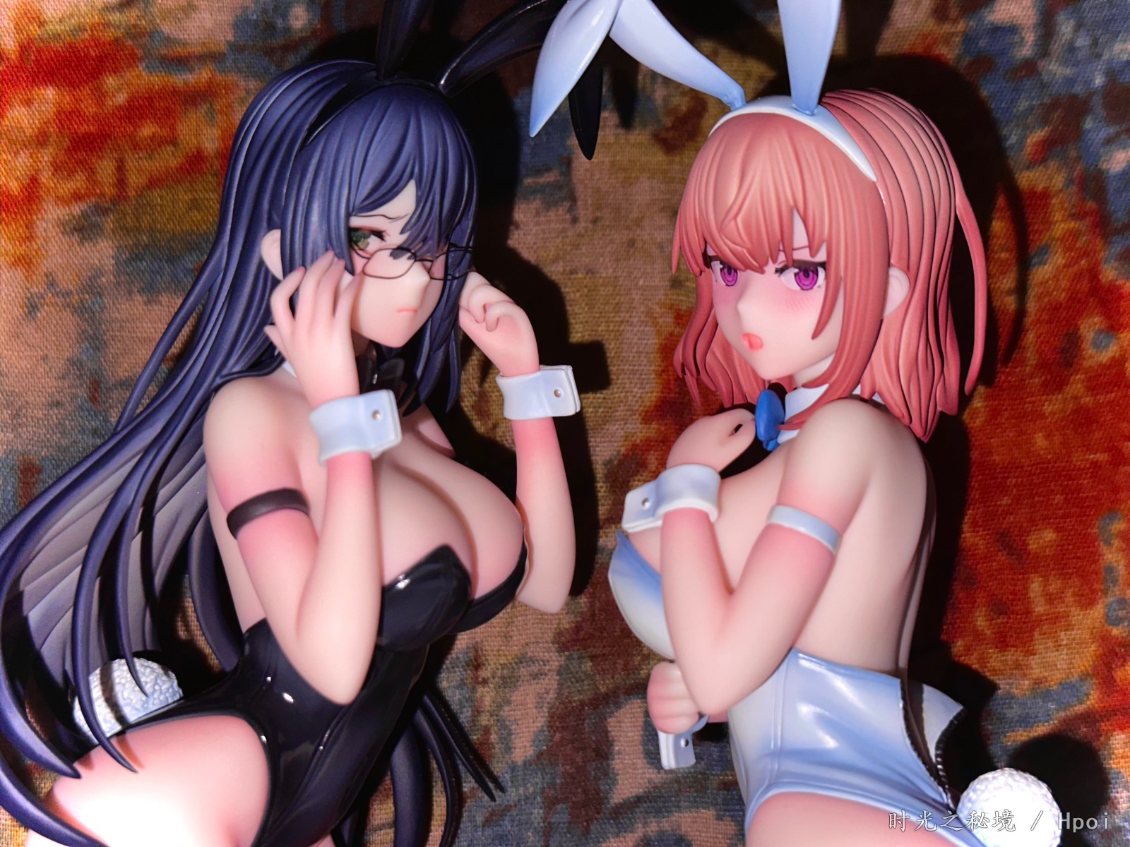 黑兔葵 白兔夏芽