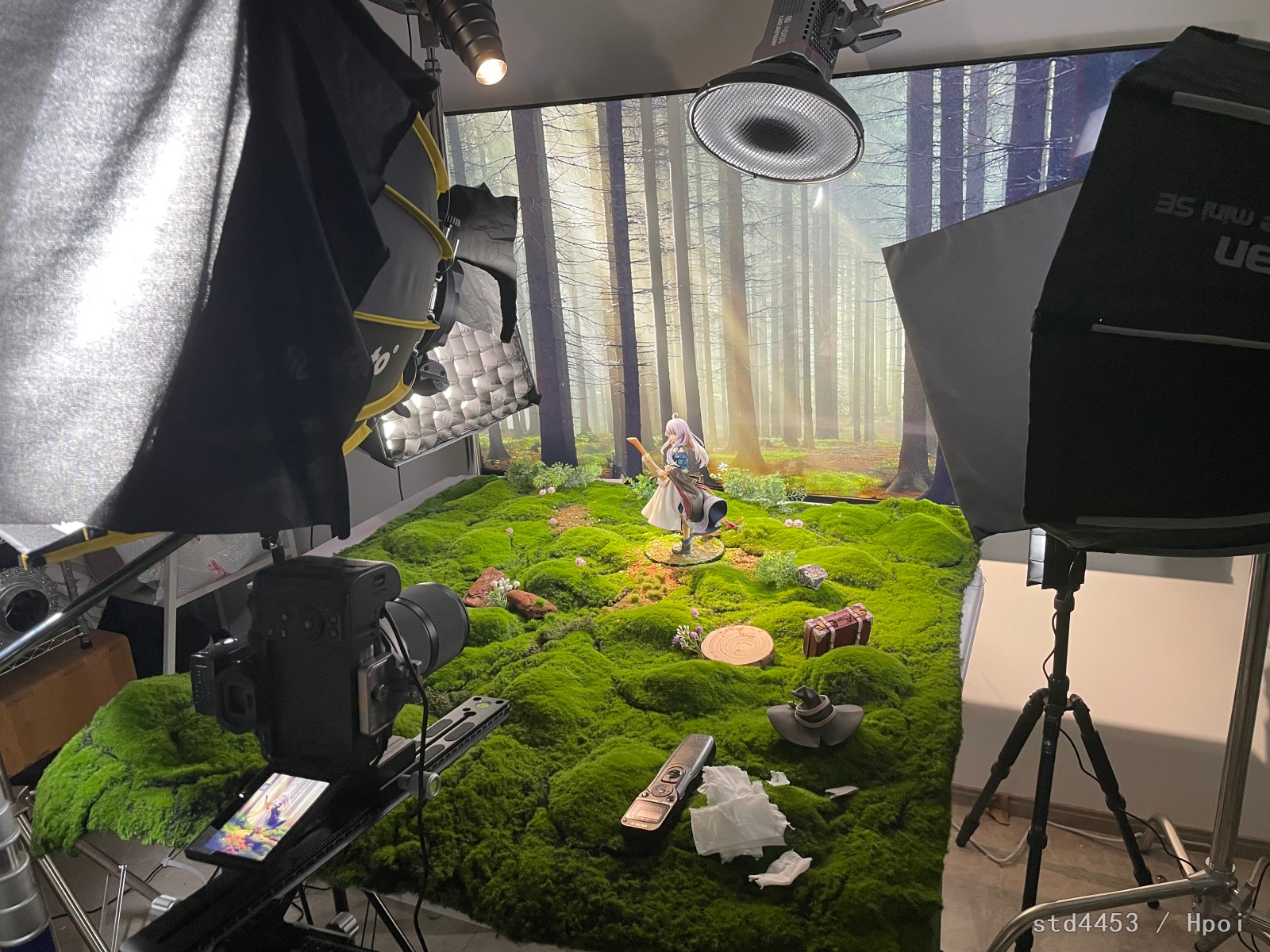 木漏れ日 | GSC 魔女之旅 依蕾娜 ～初夏的蒼穹～