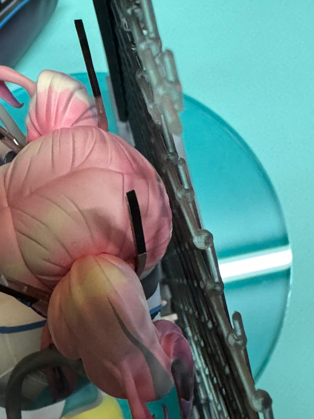 布莱默顿日返图