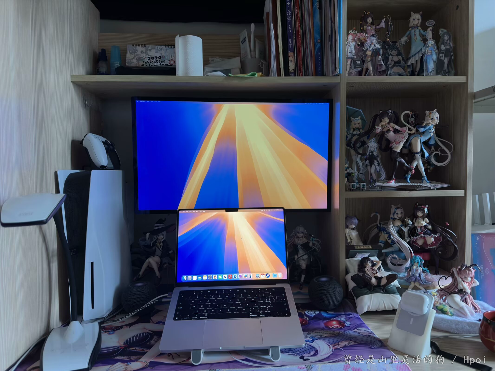 一共就收了这么多手办