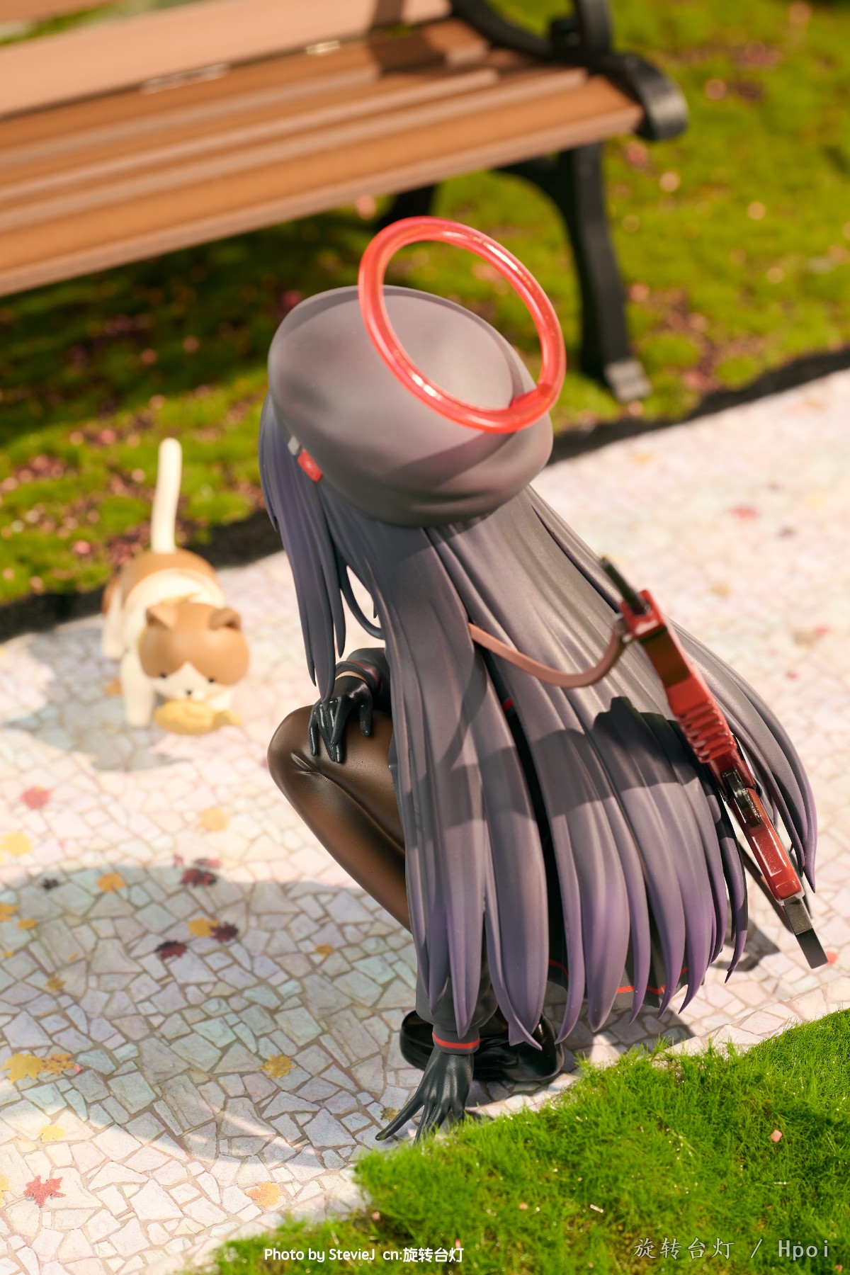 【GK摄影】秋日公园逗猫的杂鱼酱