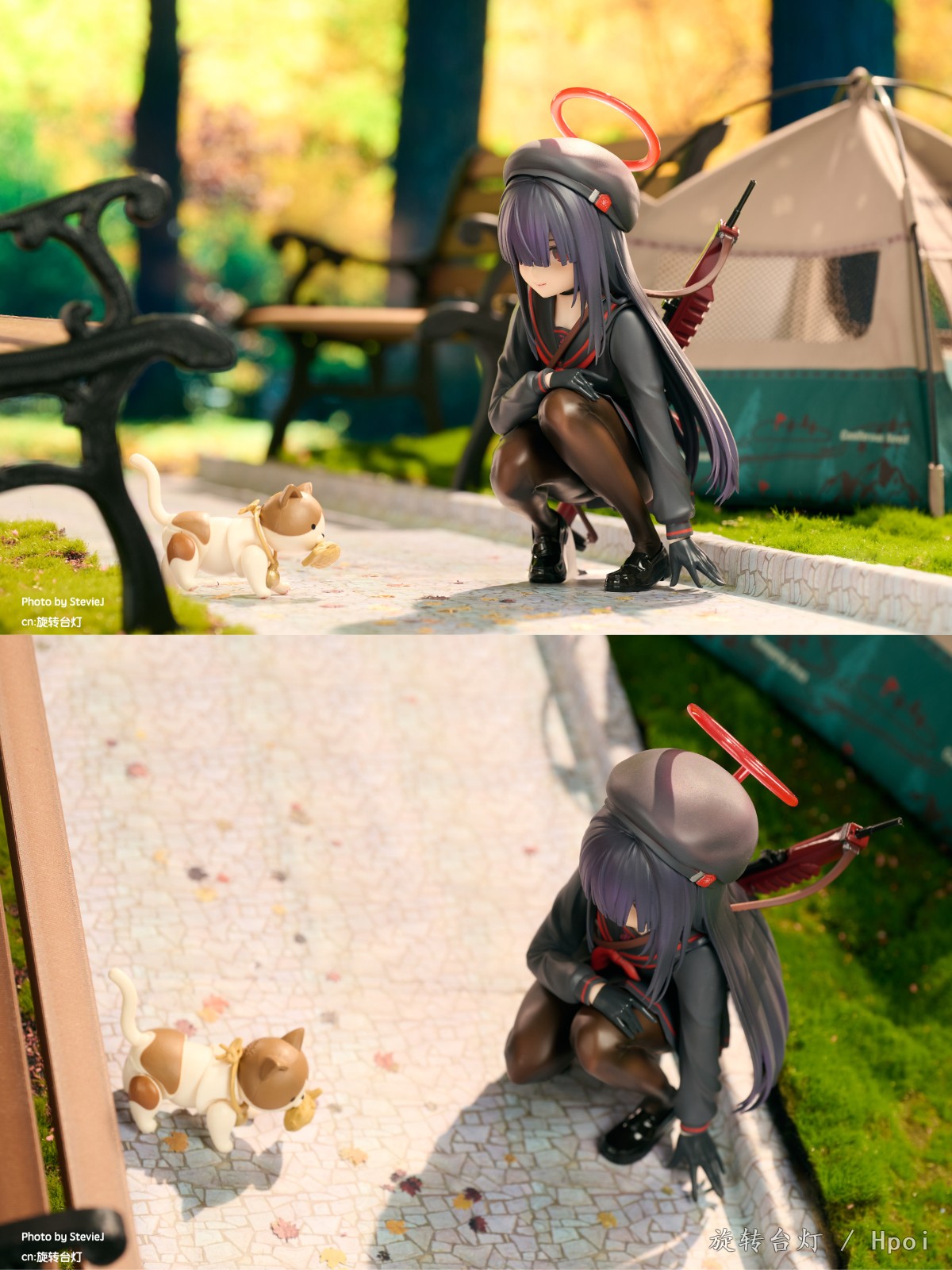 【GK摄影】秋日公园逗猫的杂鱼酱