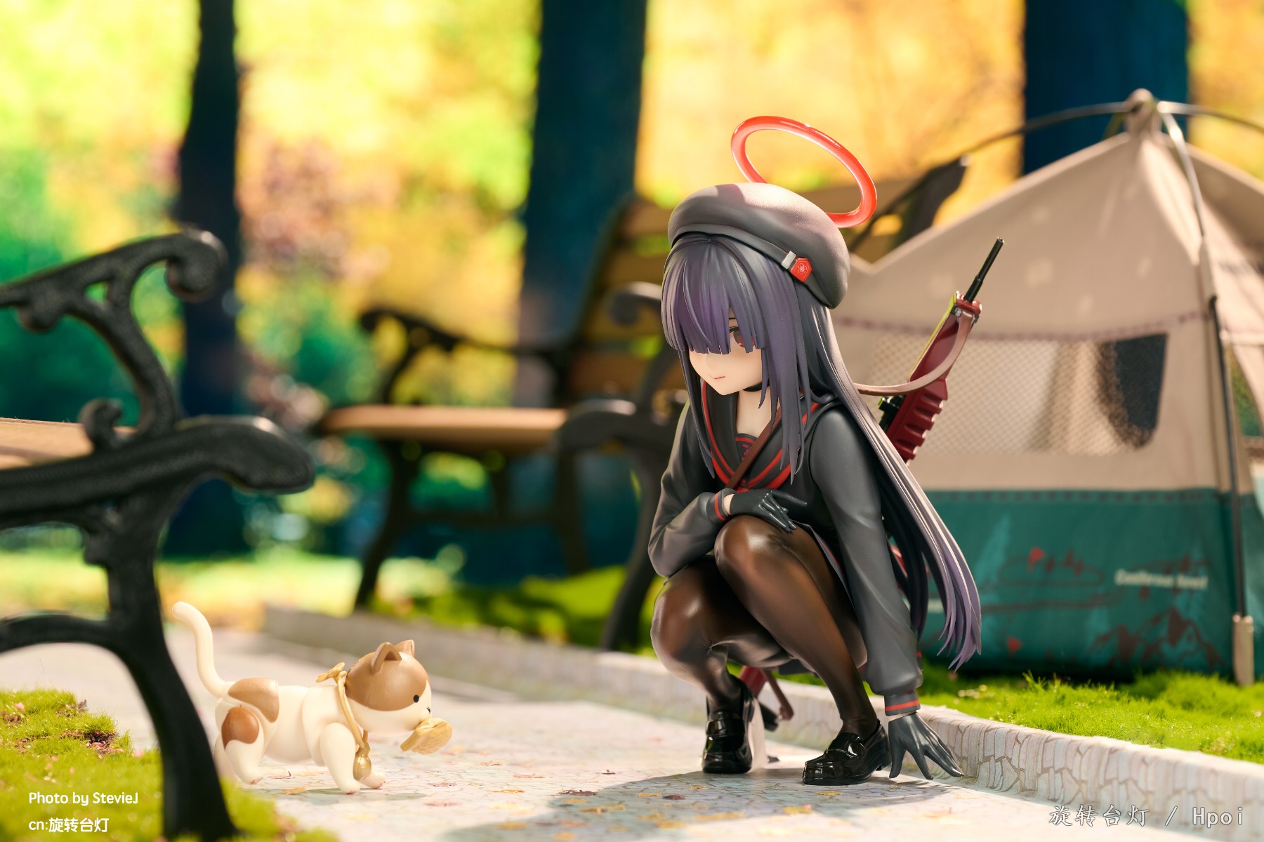 【GK摄影】秋日公园逗猫的杂鱼酱