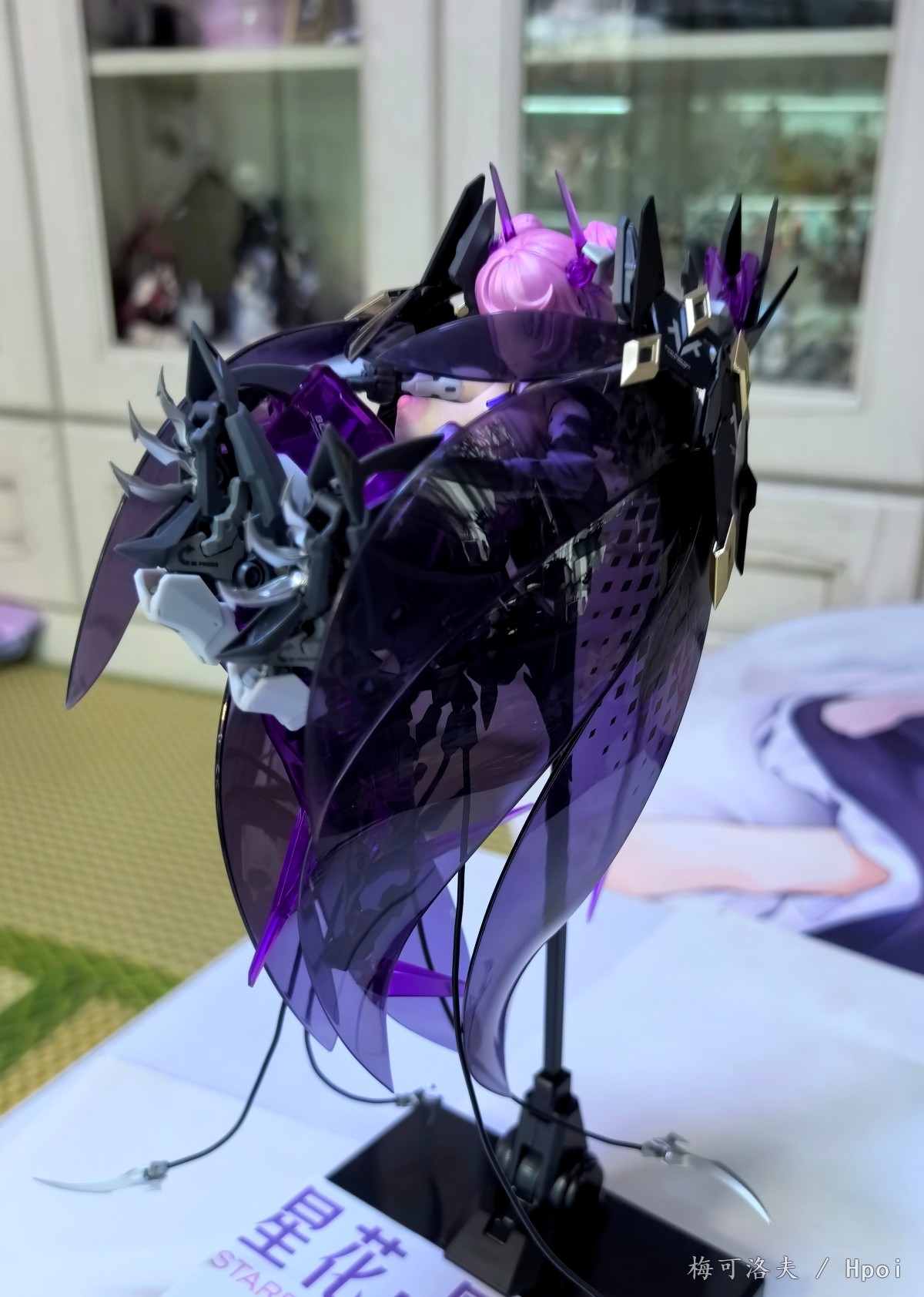 星花黑鸢尾  后备能源容量极大提升改造