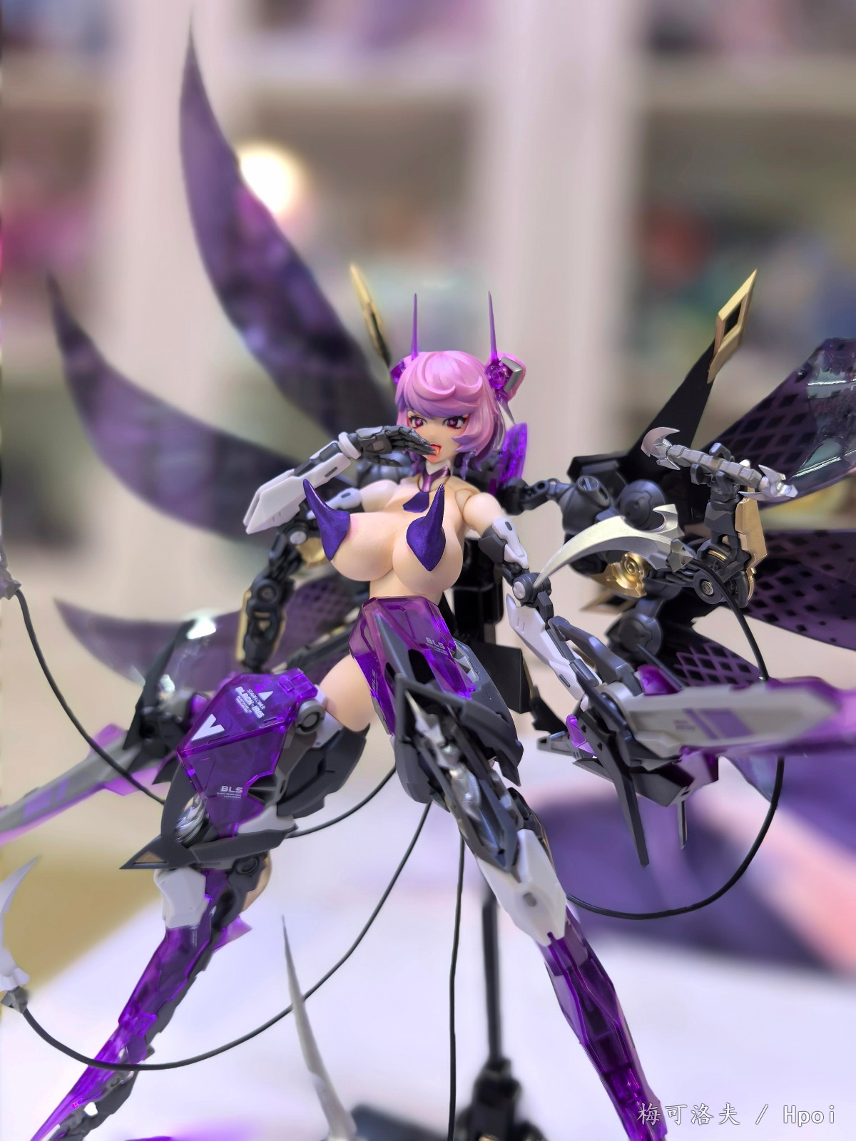 星花黑鸢尾  后备能源容量极大提升改造