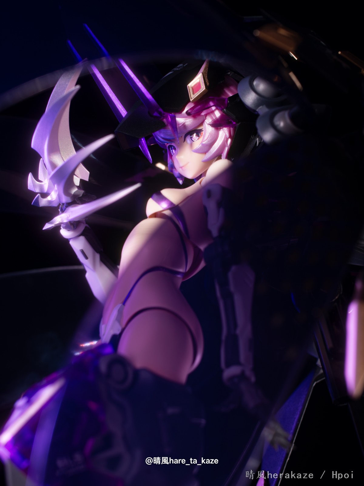 星花·黑鸢尾