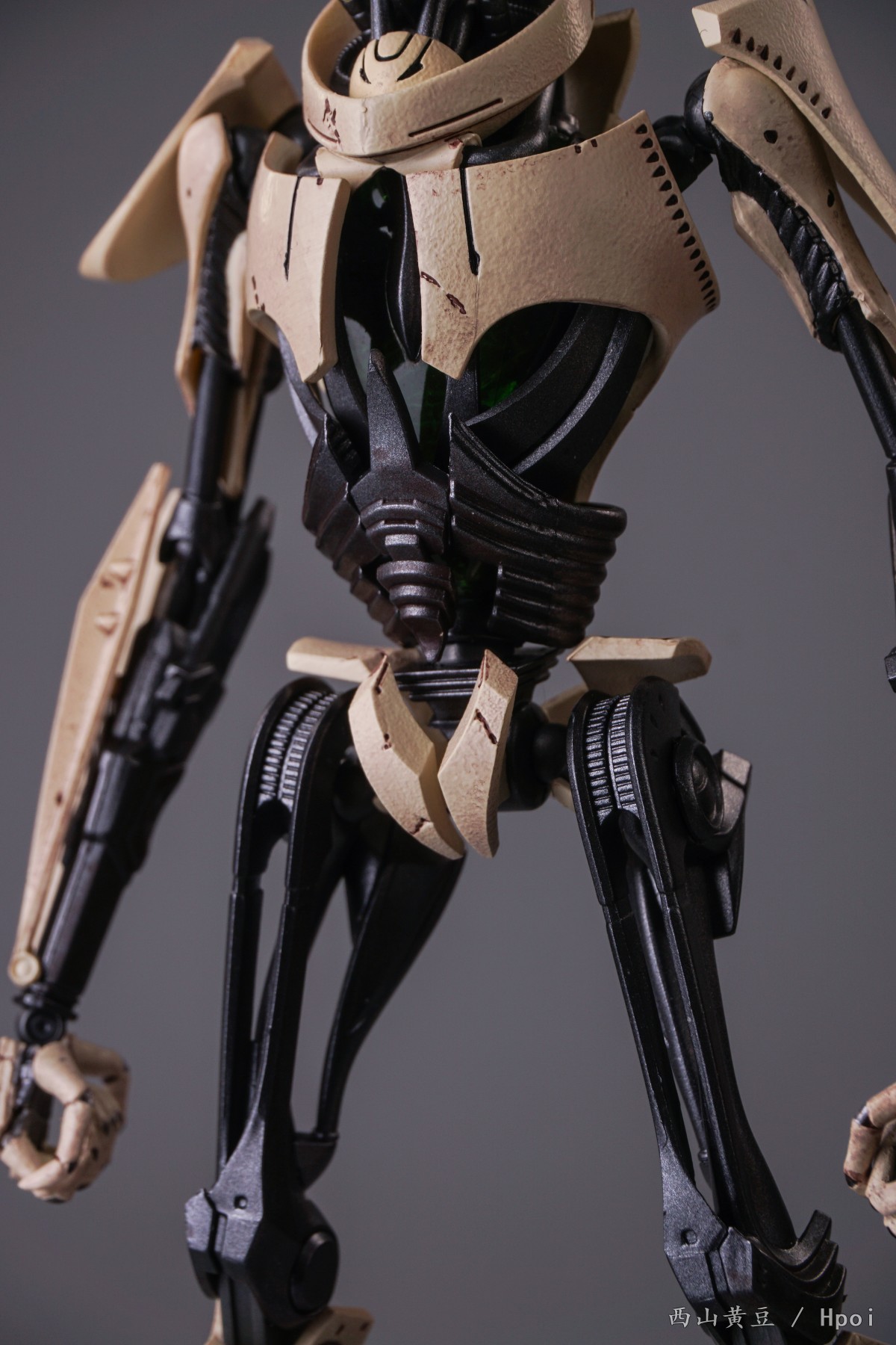 shf格里弗斯将军