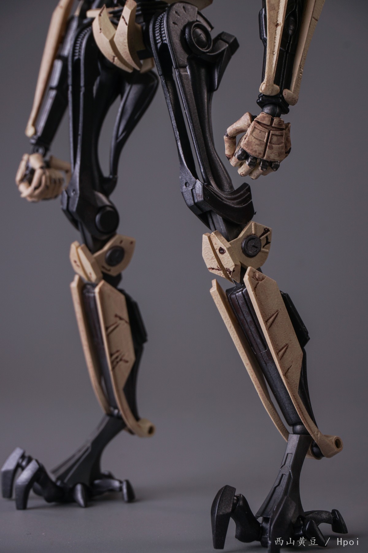 shf格里弗斯将军