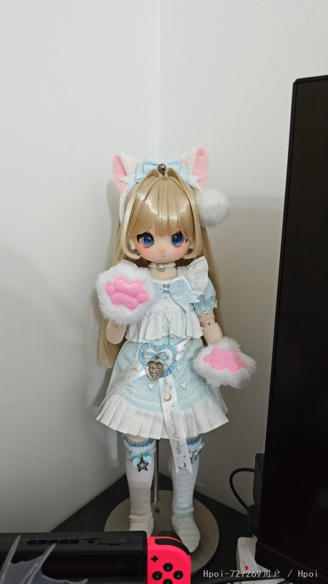 太可爱了！！！！入坑了