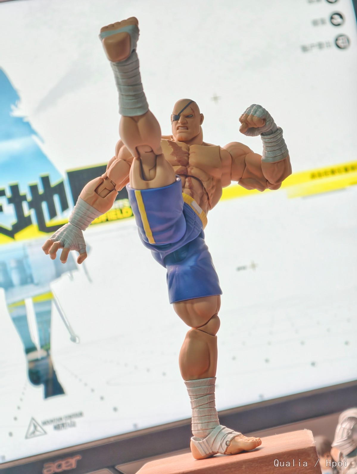 storm arena 少年街霸 沙加特