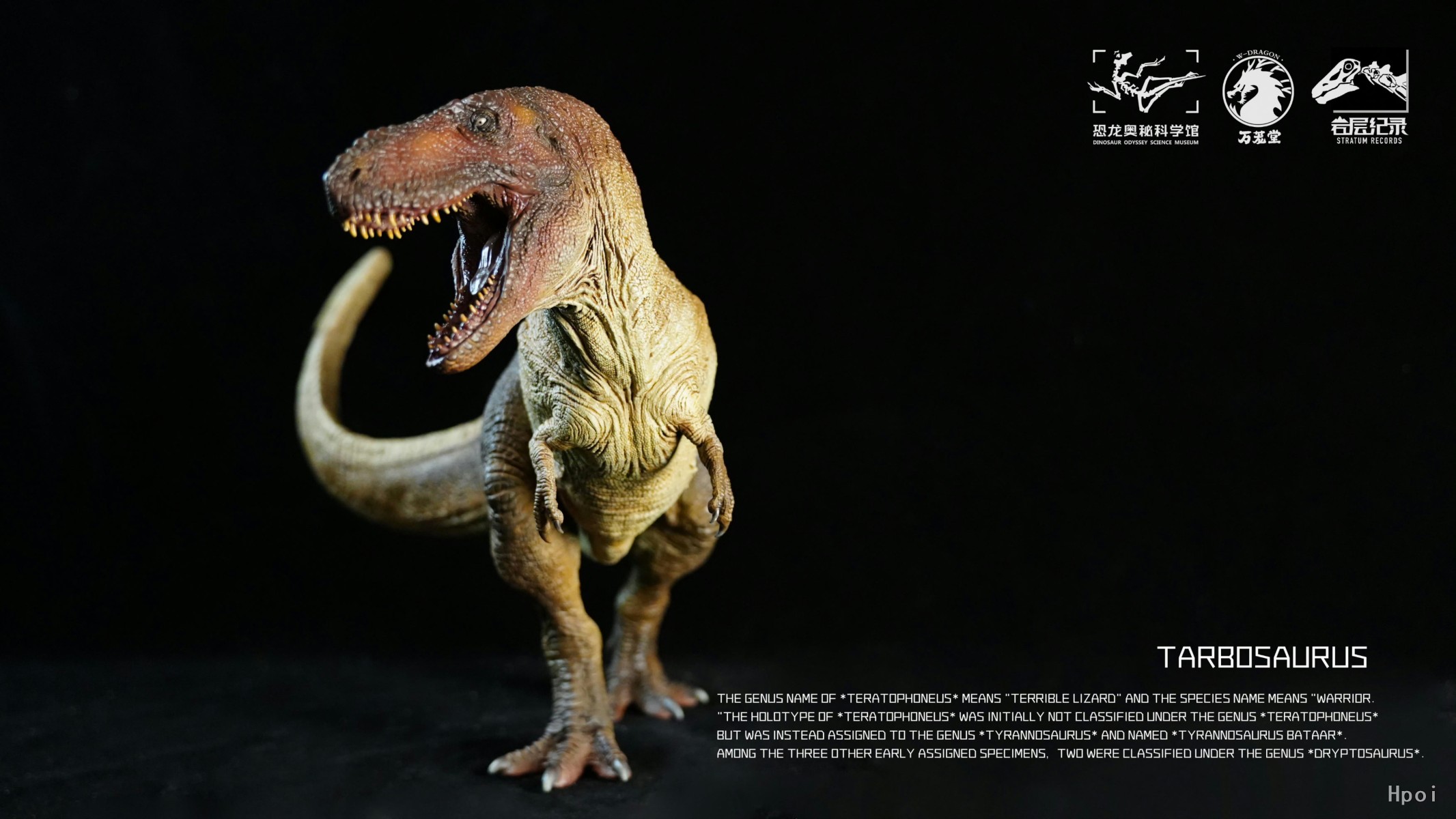 特暴龙PVC模型（恐龙奥秘科学馆联名）