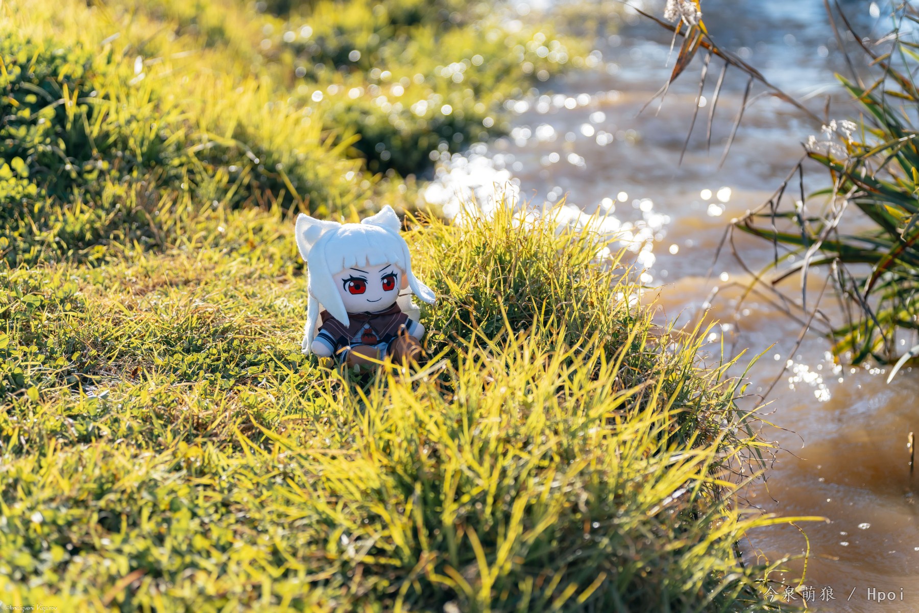 狼与香辛料/狼与羊皮纸 赫萝Fumo 缪莉Fumo