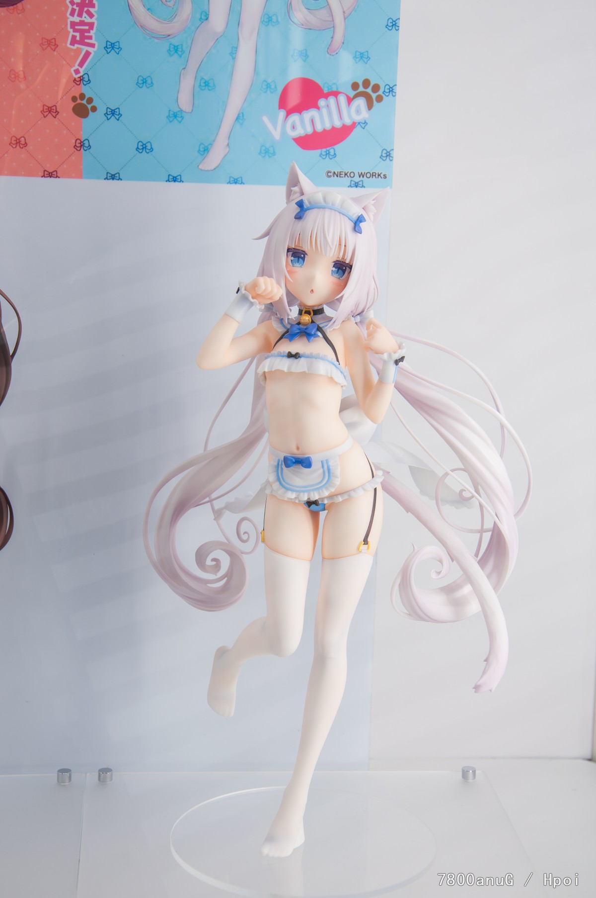 wf2026w乱拍（企业）