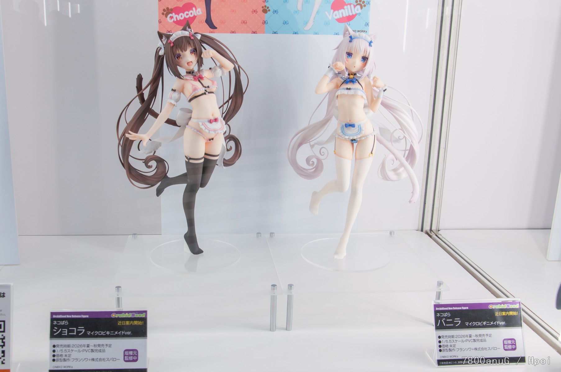 wf2026w乱拍（企业）