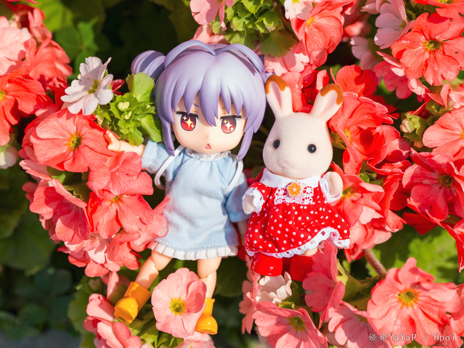 那么，去寻春吧！丨 喵帕斯–Δ–