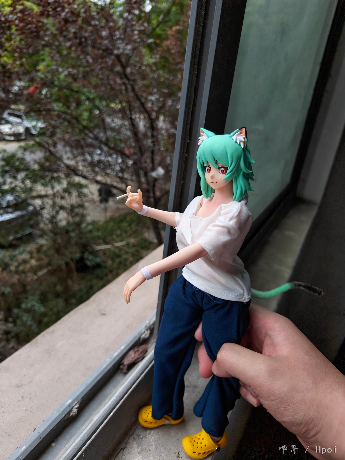 1：6尼古喵喵