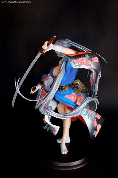 赵云子龙 漫画14卷版 蒼天(异色・青) 