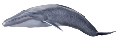 [Mega Sofubi Advance] MSA-04 蓝鲸