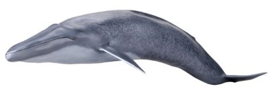 [Mega Sofubi Advance] MSA-04 蓝鲸