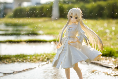 缘之空 春日野穹