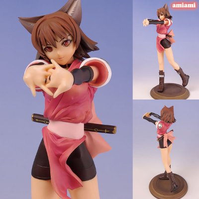 光明之泪 猫 