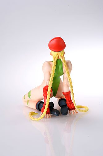 西村キヌコレクション GIRL-FIGHTING 嘉米  