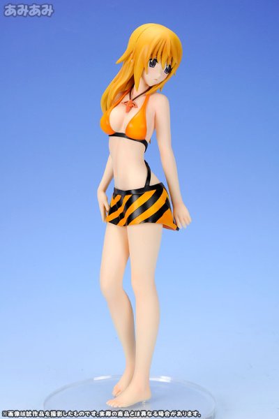 IS〈无限斯特拉托斯〉 夏洛特・迪诺亚 泳装版