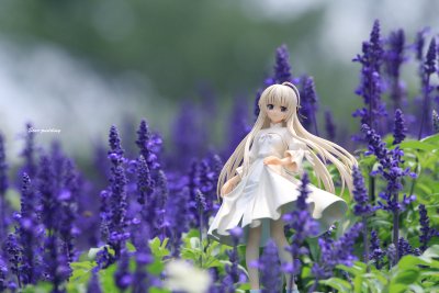 缘之空 春日野穹