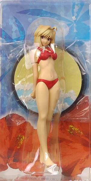 MELTY BLOOD Act Cadenza EXサマービーチフィギュア アルクェイド 